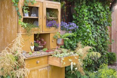 7 Creative Ideas for Gardening with Containers